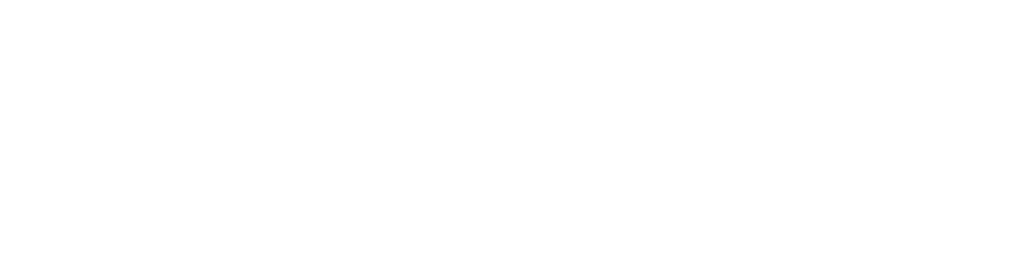 P1-Gaming e.V.